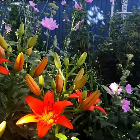 Appartement Airport Mint House