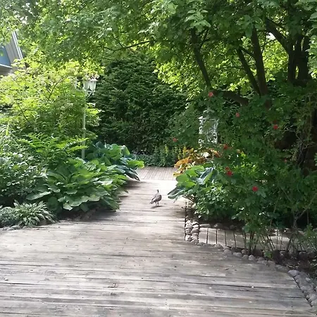 Appartement Airport Mint House *