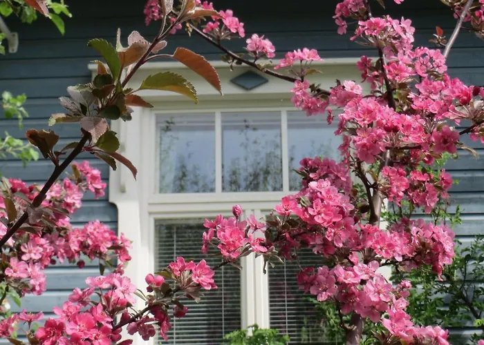 Airport Mint House *