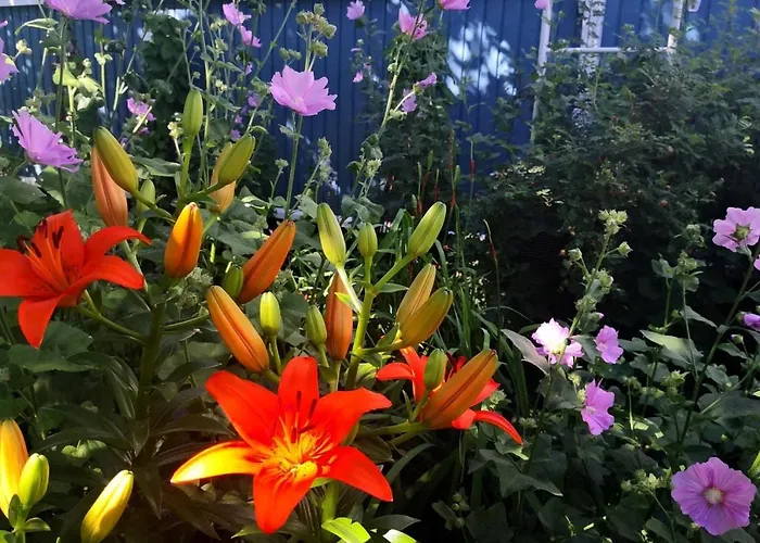 דירה Airport Mint House